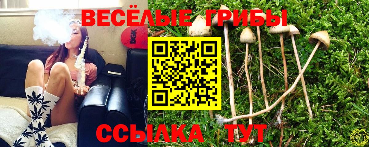 как найти наркотики  Галлюциногенные грибы GOLDEN TEACHER  Вход с VPN  Миллерово 